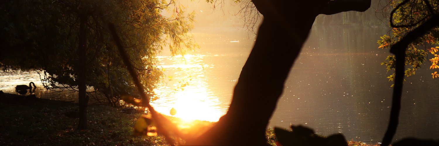 Behlultbh's profile banner image