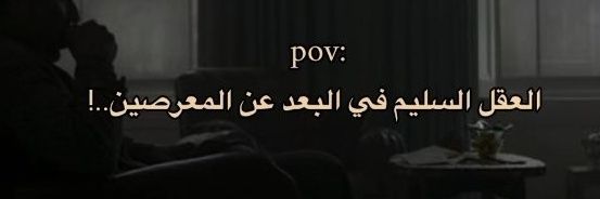 🆃🅾🆈🅰🦢🌈 banner