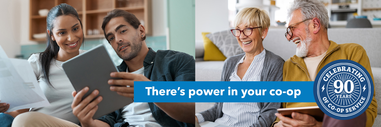 GreyStone Power banner