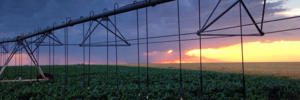 sbellsnyder Profile Banner