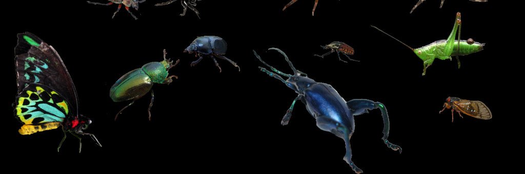 UselessEater90's profile banner image