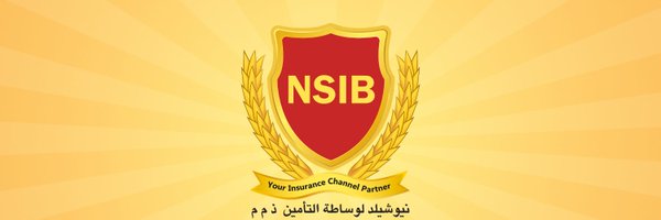 nsibllc Profile Banner