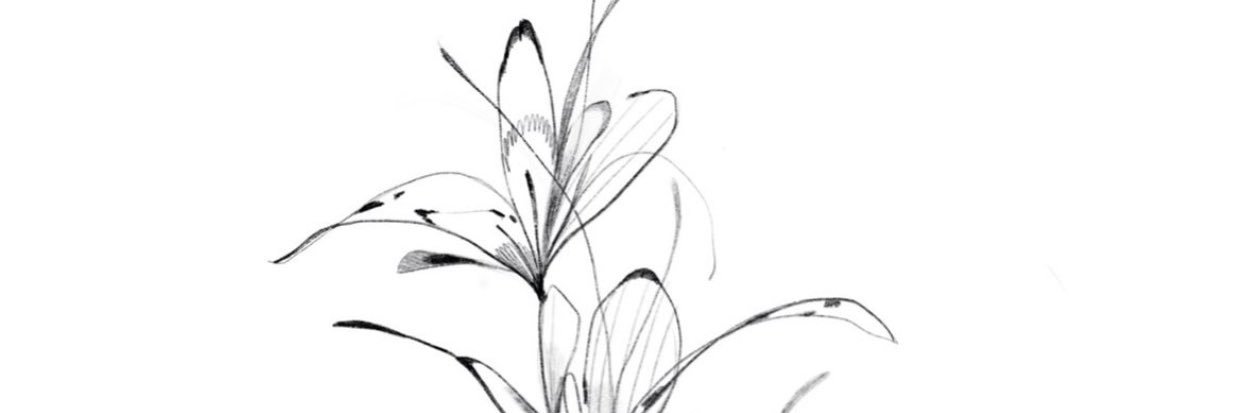chi banner