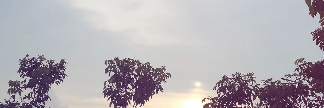 dearhoody's profile banner image