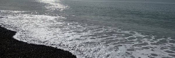 AnnetteBoaz Profile Banner