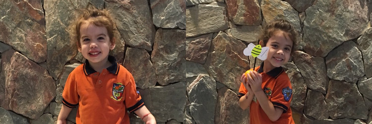 NOVADUARTE's profile banner image
