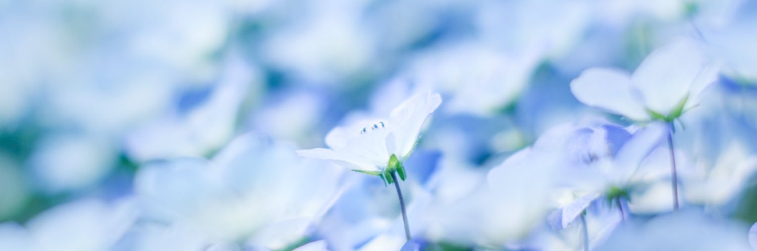 yum__t's profile banner image