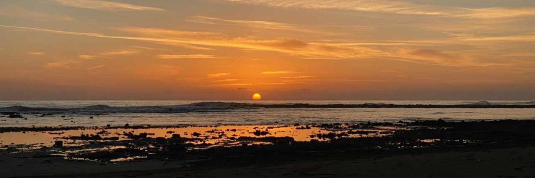 🌺🌸✨Simona✨🌺🌸 banner