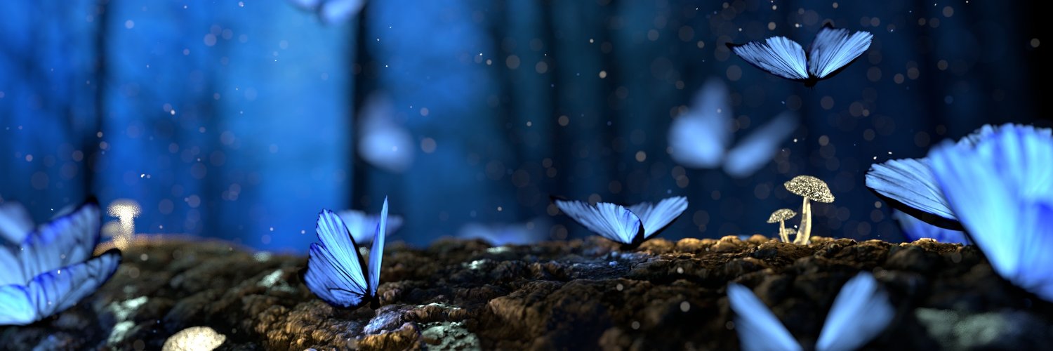 mejriabdelkader's profile banner image
