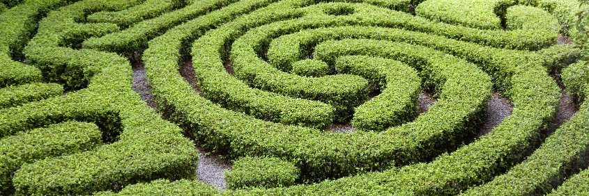 Sia Partners Transformation banner