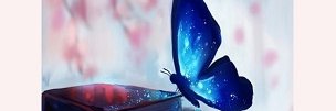 Eléonore Bellorme banner