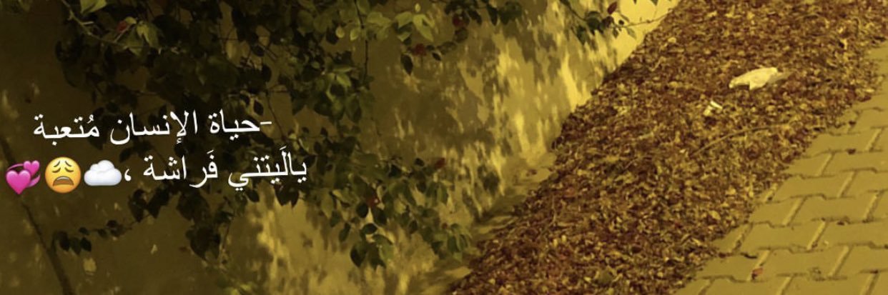 tto72dz's profile banner image