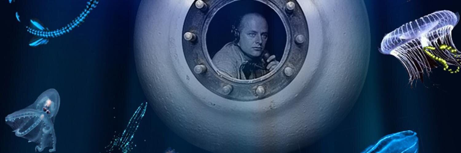 piche's profile banner image