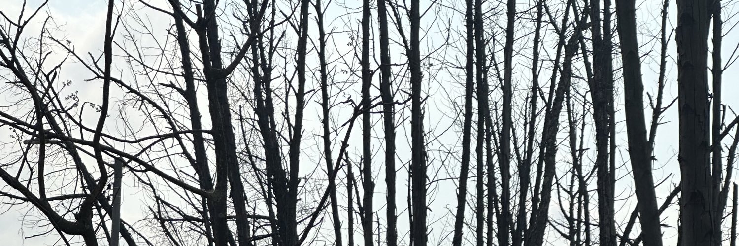 emokidkat's profile banner image