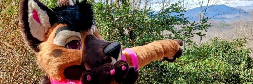 Paisley shep🔜Bewhiskered 2026! banner