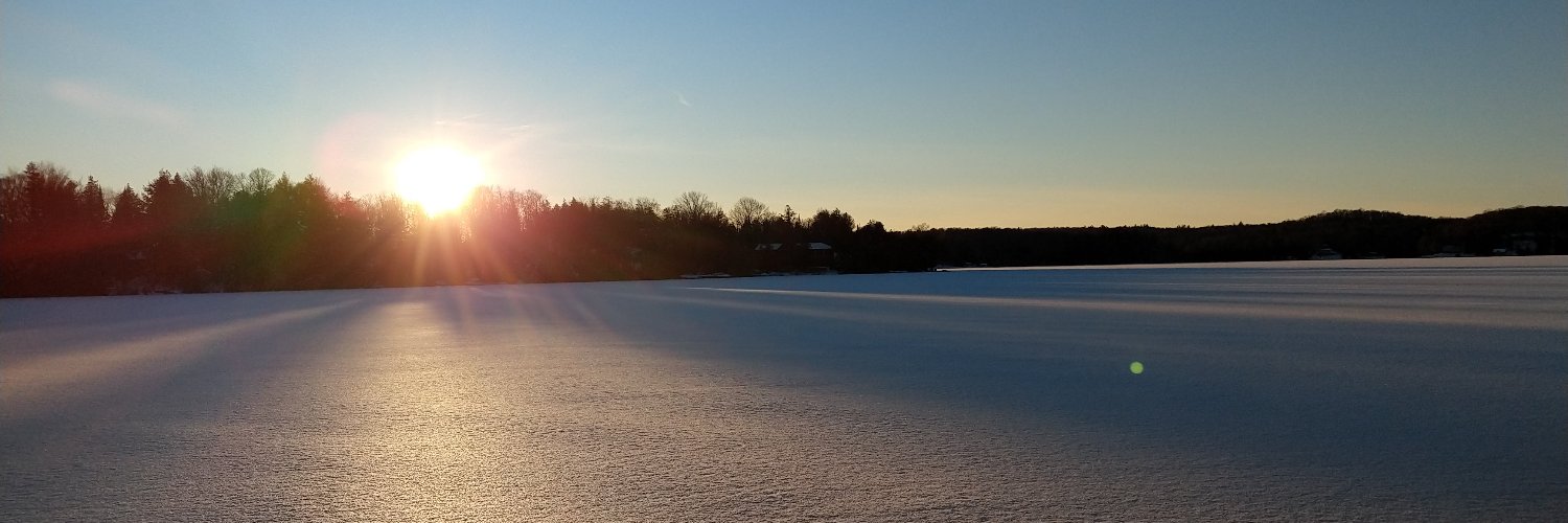 Les Liversidge banner
