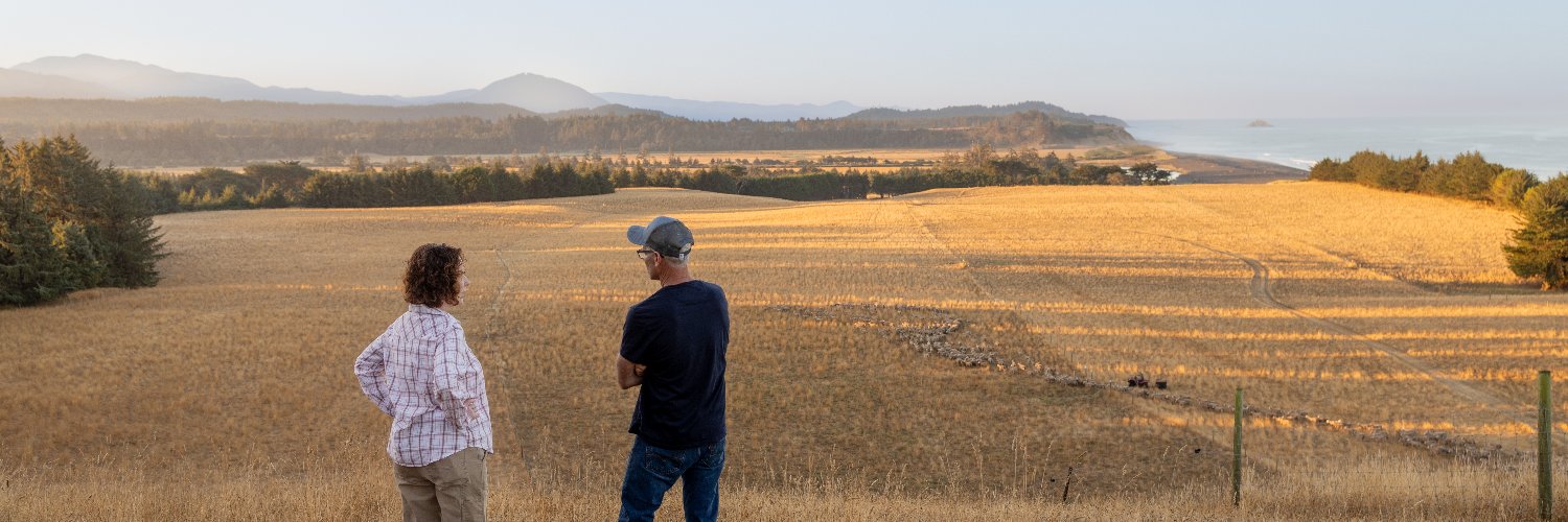 Representative Val Hoyle banner