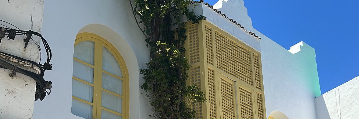 🍋 banner