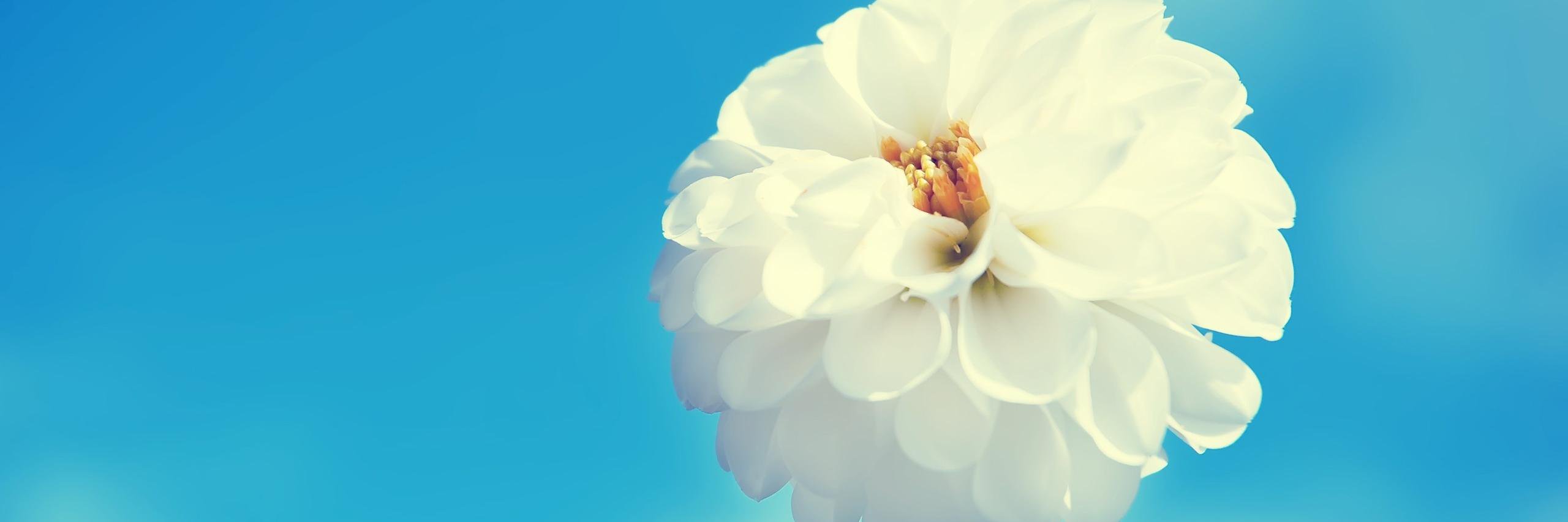velez_anac's profile banner image