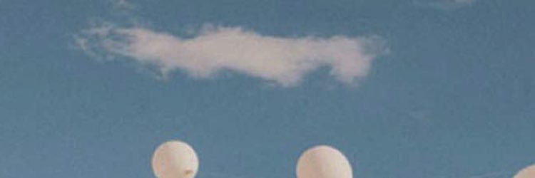 wjdan1420's profile banner image