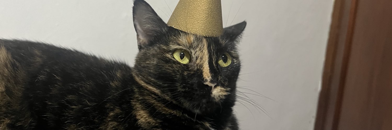anitalavalatin_'s profile banner image