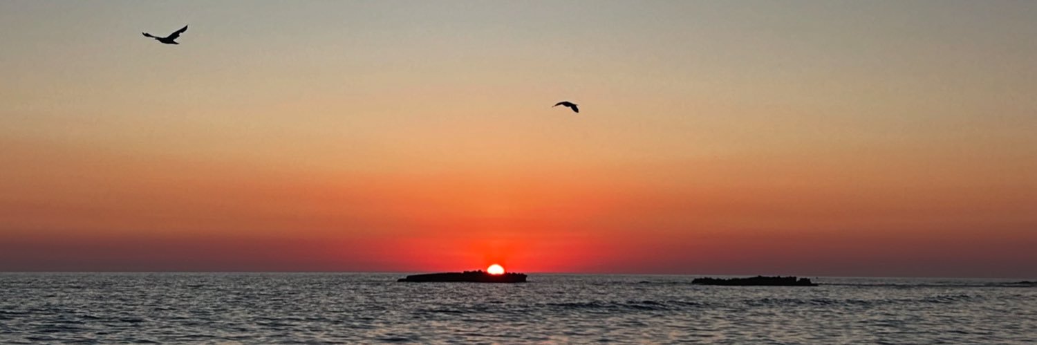 Macarena 🍋 banner