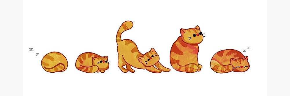 LilyUCIWriting's profile banner image
