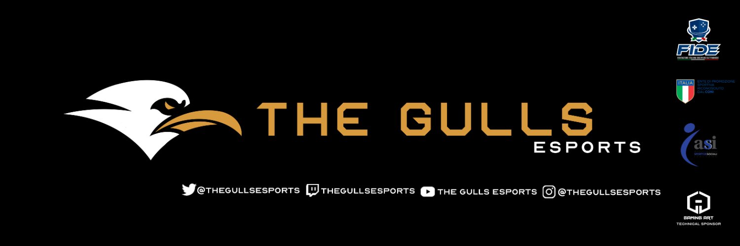 The Gulls Esports Profile Banner
