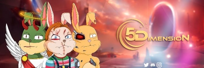 5th Dimension banner