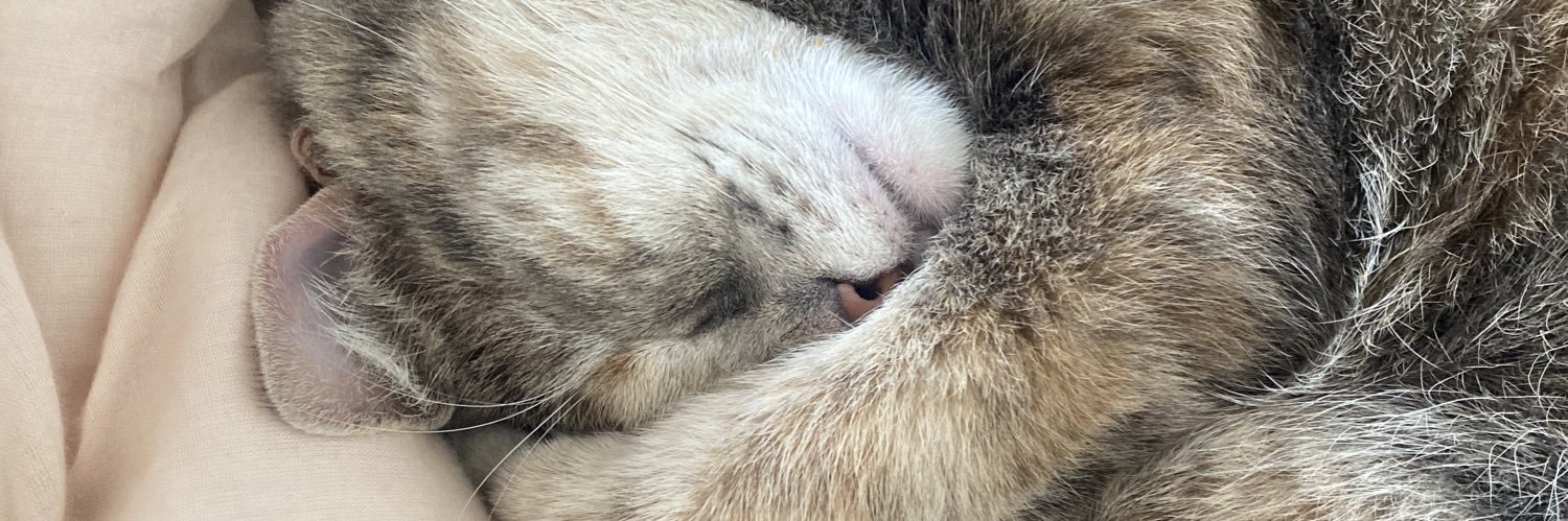 lana del slay banner