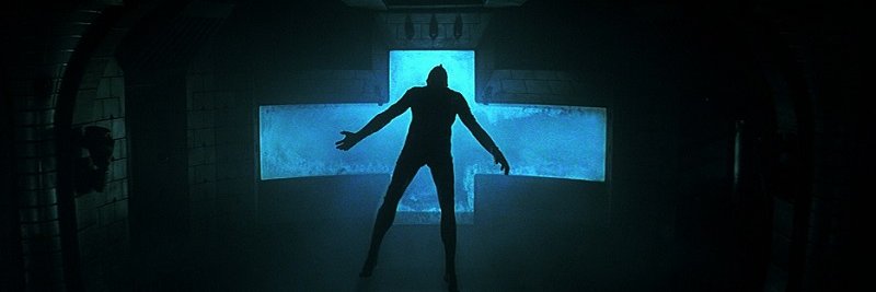 Matthew Cyrus 🐀 banner