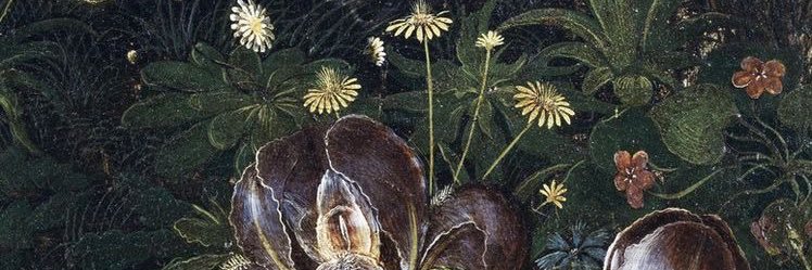 ninabrger's profile banner image