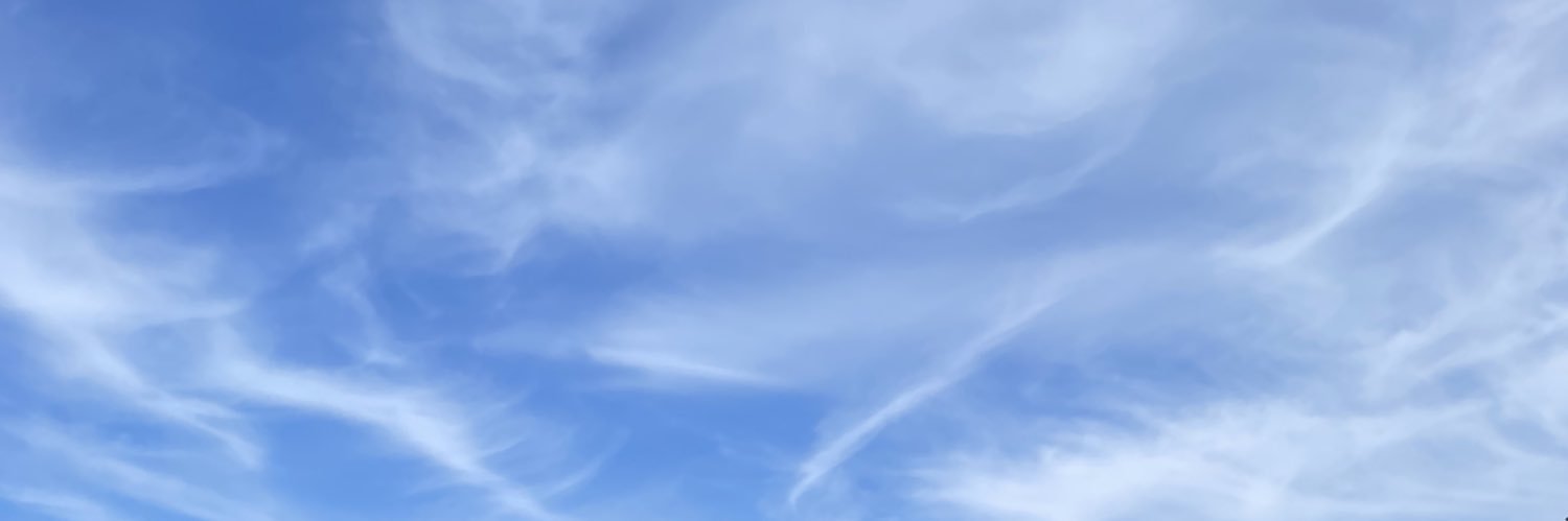 perchtheplanet's profile banner image