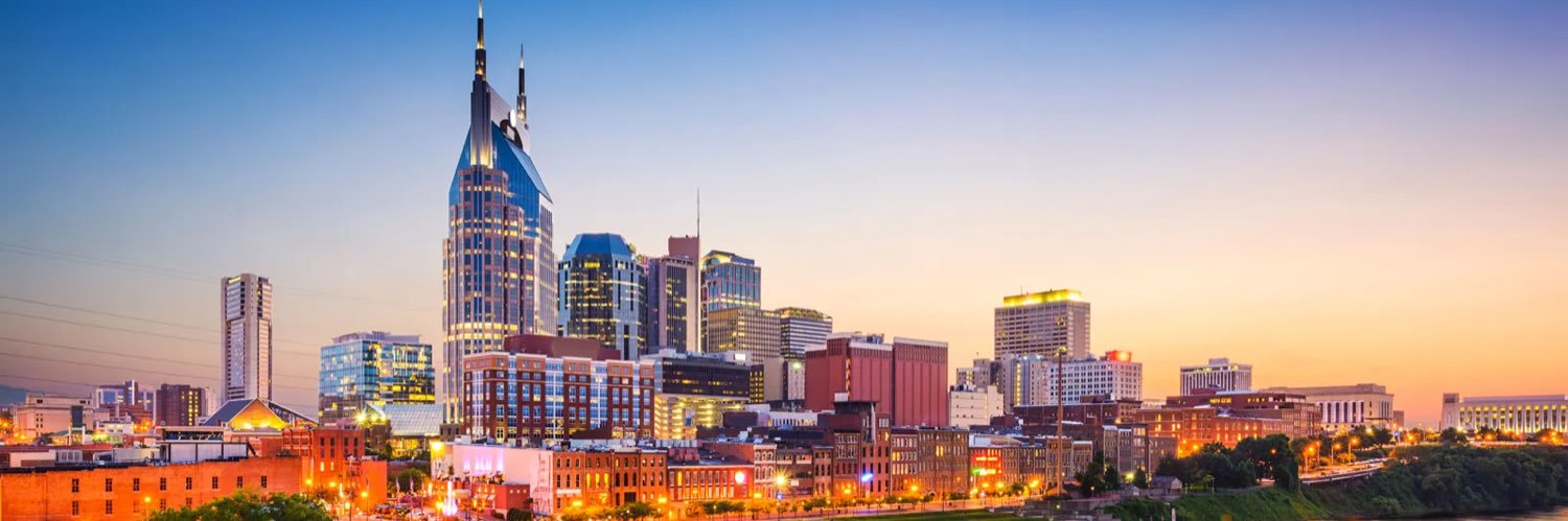 The Tennessee Progressive 🇺🇸🌹🐸 banner