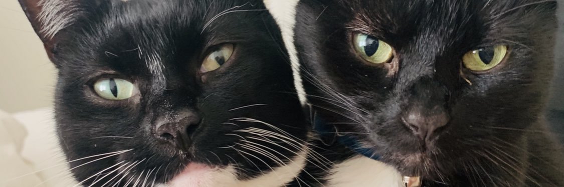 littlemacc_'s profile banner image