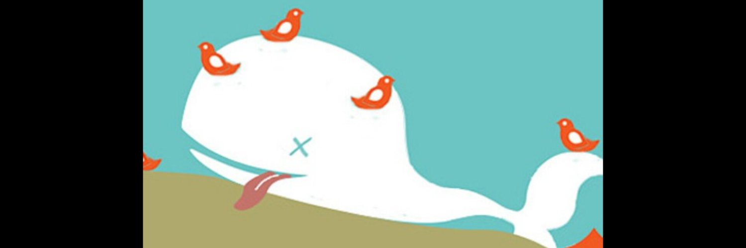 Anil Kalhan • @akalhan.bsky.social banner