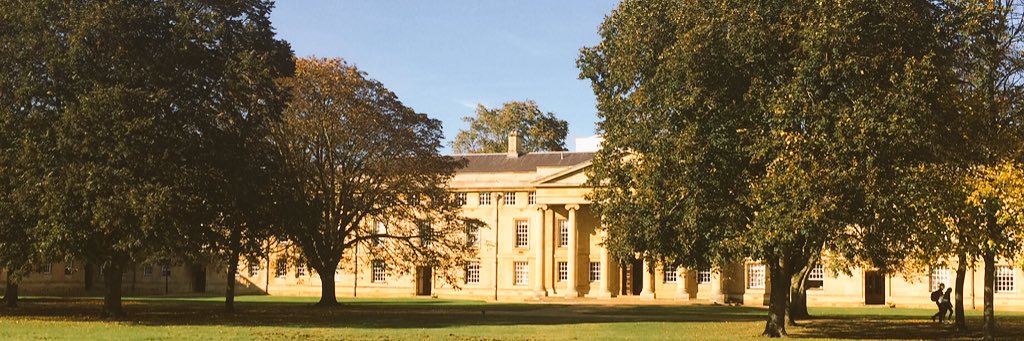 Discover Downing banner