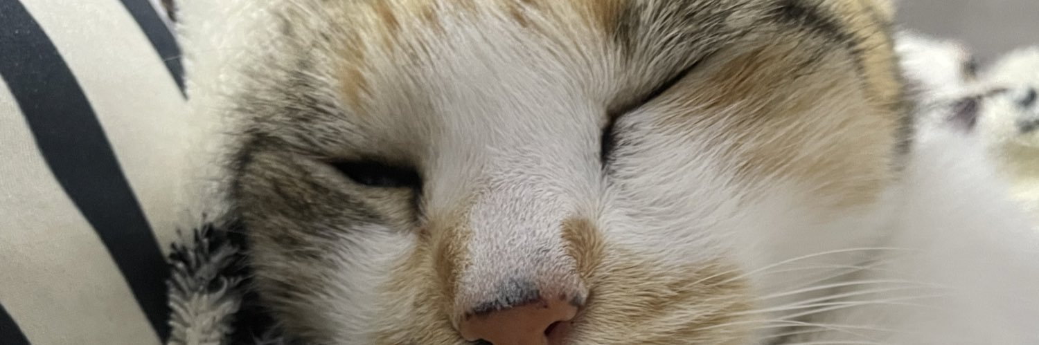 witcheslife's profile banner image