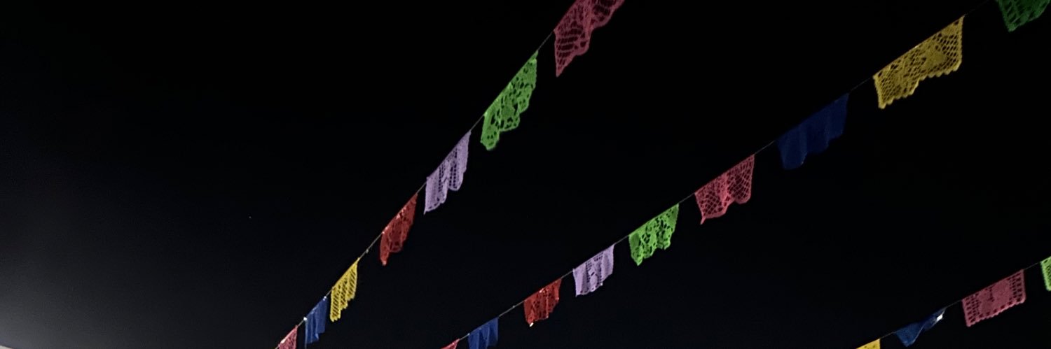 Lizgtzb's profile banner image