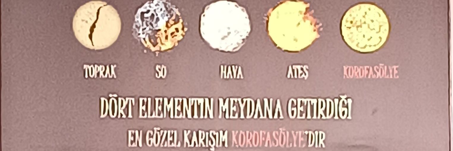 MaxzeY İdris banner