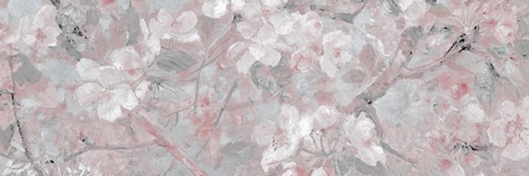 ‍ ‍ 𐔌 ‍𝜗ৎ ‍𝒮𝑡. ‍┈─ ‍𝓶𝑎𝑔𝑑𝑎𝑙𝑒𝑛𝑒. banner