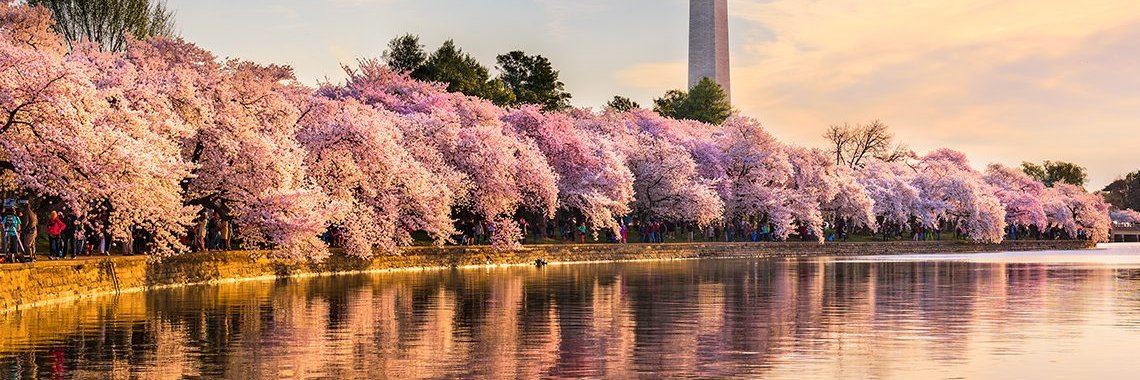 Autria Lindsay banner