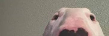 Bruhman banner