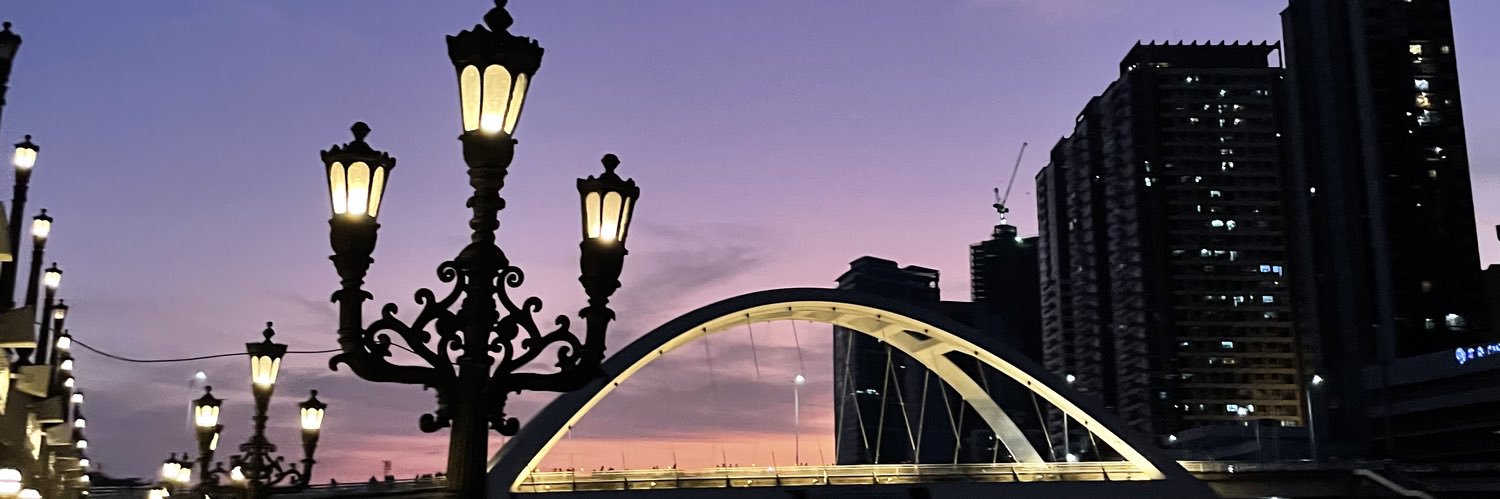 tswiftsluvr's profile banner image
