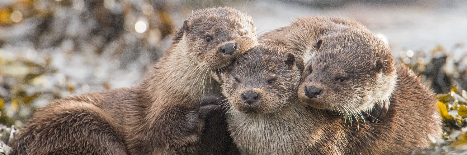 Richard Shucksmith banner