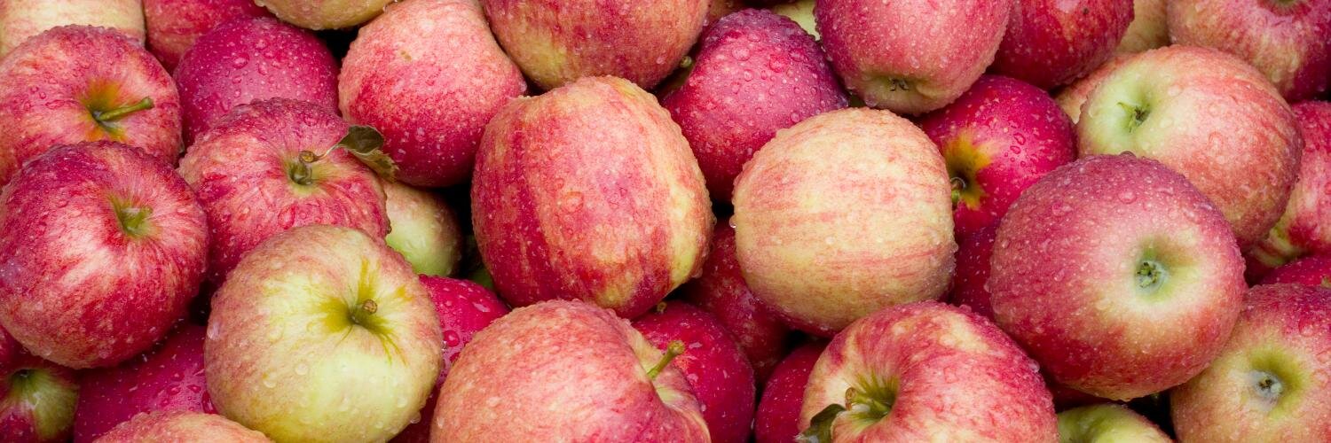 PAapples's profile banner image