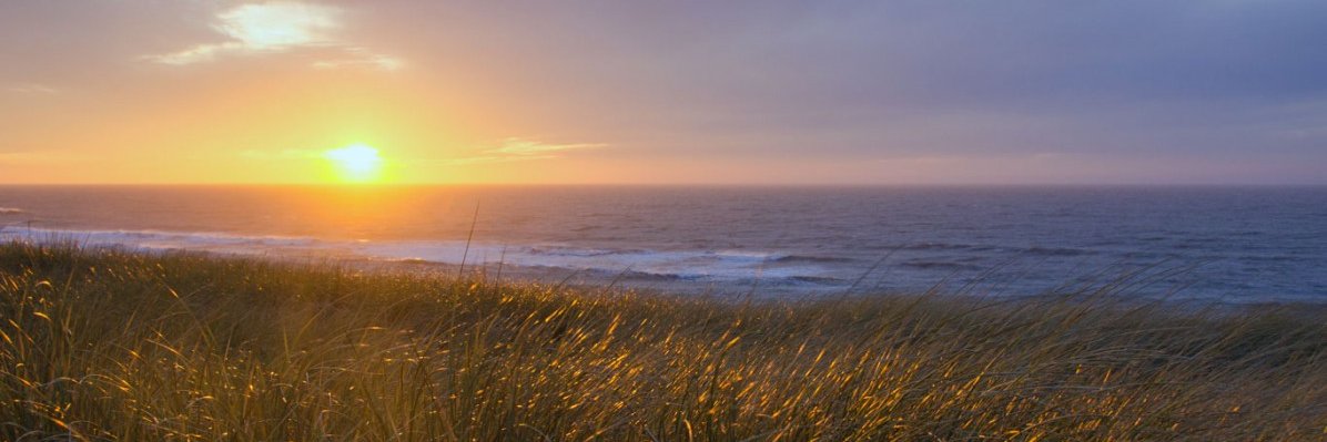 Aussie957's profile banner image