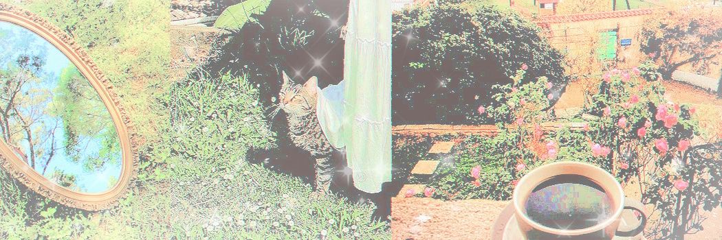 ୨୧ banner