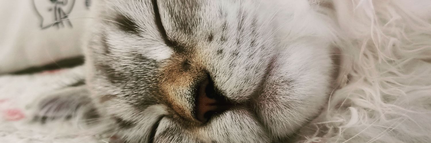 KeepCalmBlogg's profile banner image