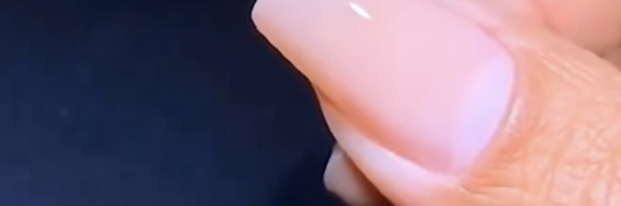 Cotta banner